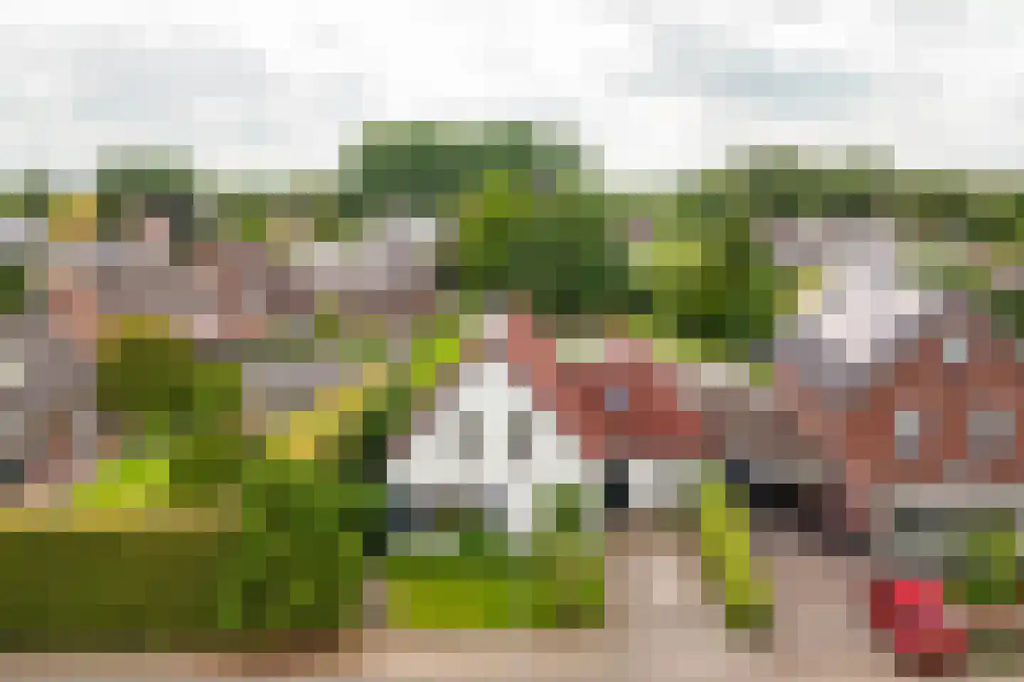 Bosseestraat 18 Beneden-Leeuwen thumbnail 52