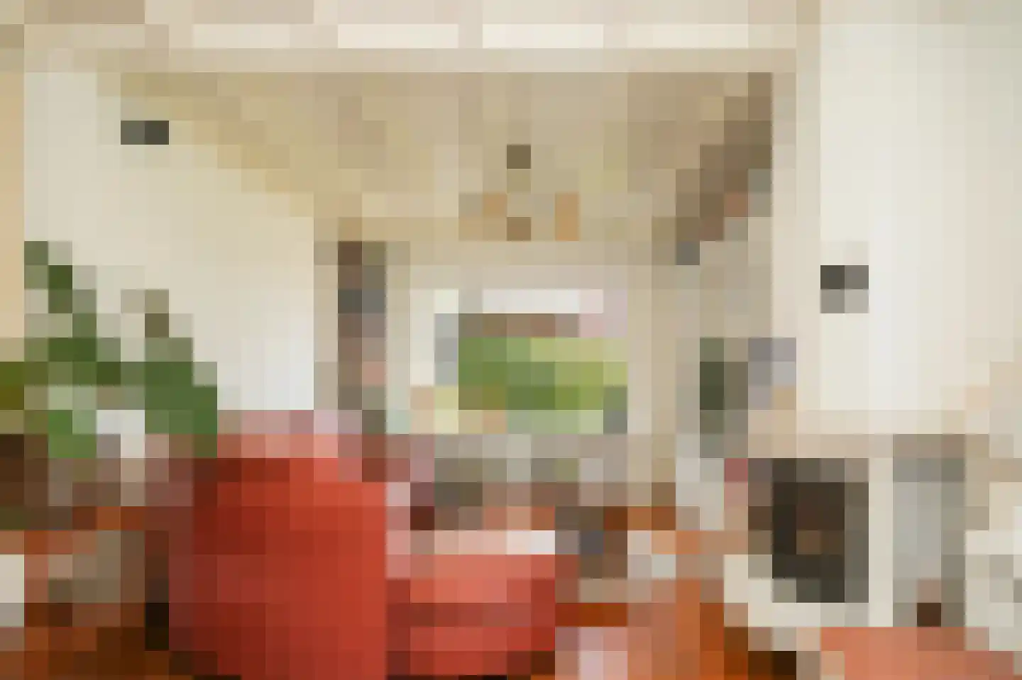 Bosseestraat 18 Beneden-Leeuwen thumbnail 7
