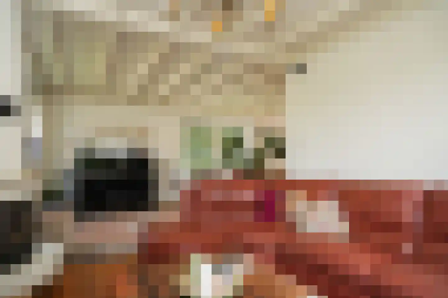 Bosseestraat 18 Beneden-Leeuwen thumbnail 8