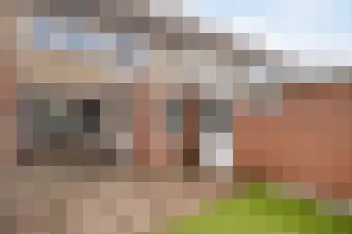 Bosselerstraat 17 Someren thumbnail 28