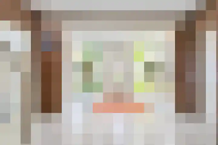 Bossemaat 14 Pesse thumbnail 10