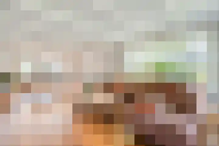 Bossemaat 14 Pesse thumbnail 15