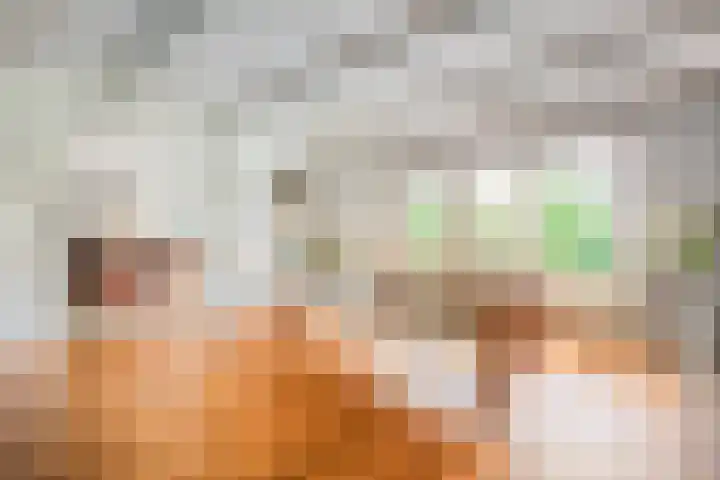Bossemaat 14 Pesse thumbnail 16