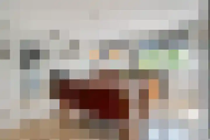 Bossemaat 14 Pesse thumbnail 17