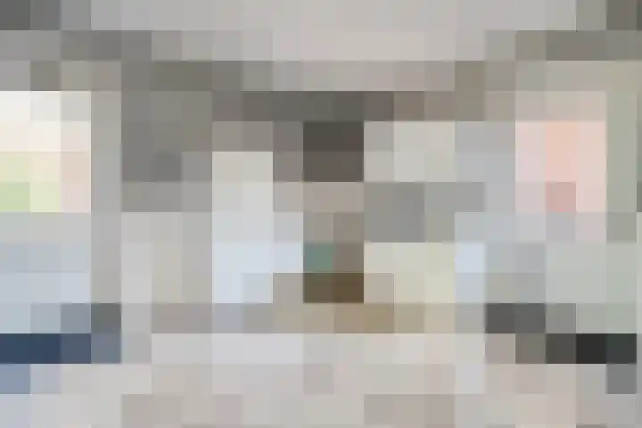 Bossemaat 14 Pesse thumbnail 22