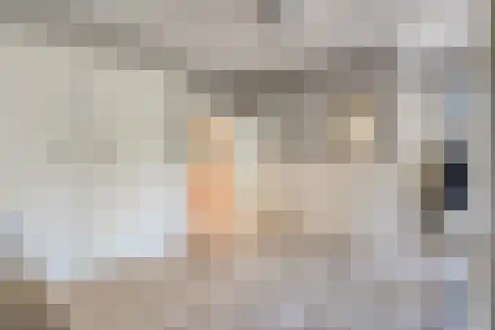 Bossemaat 14 Pesse thumbnail 23