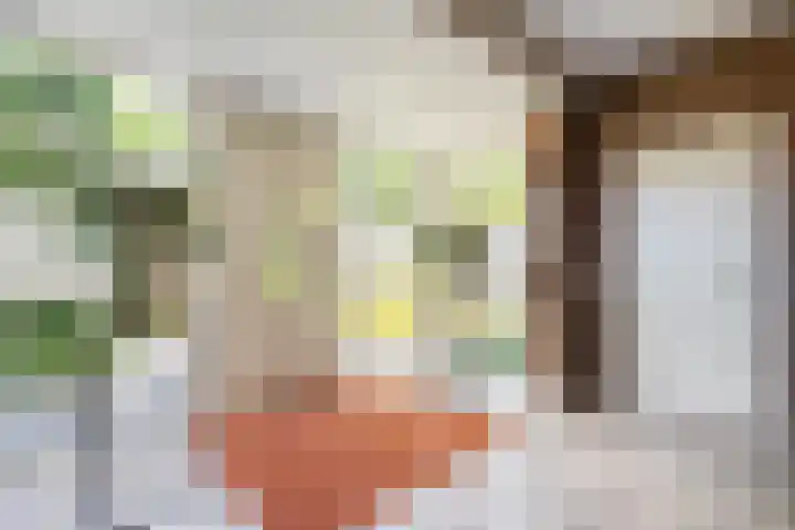 Bossemaat 14 Pesse thumbnail 24