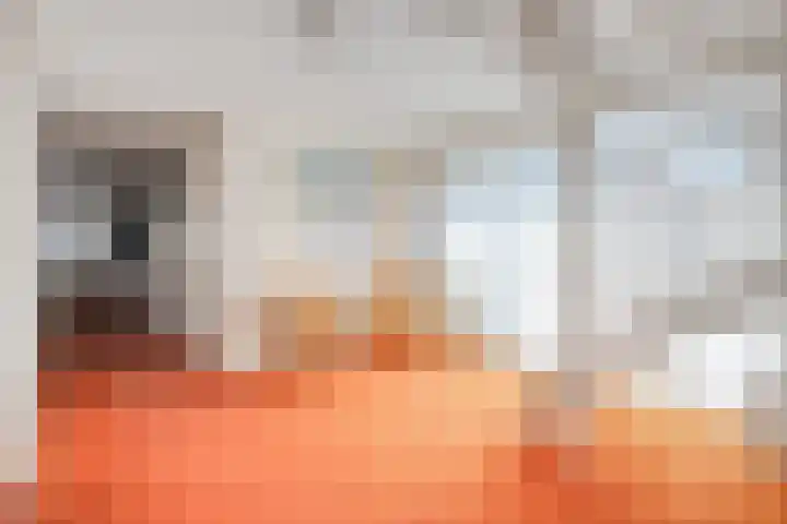 Bossemaat 14 Pesse thumbnail 28