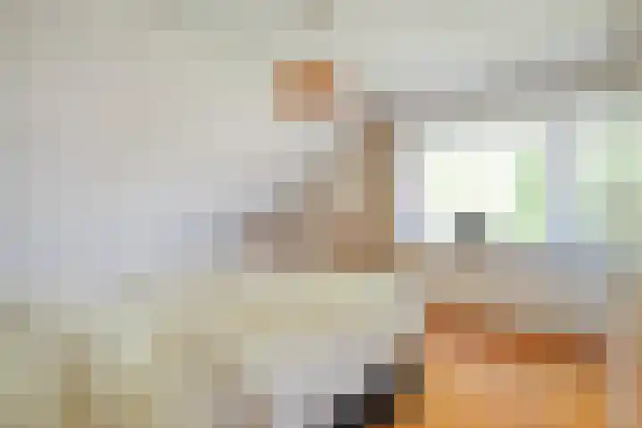 Bossemaat 14 Pesse thumbnail 31