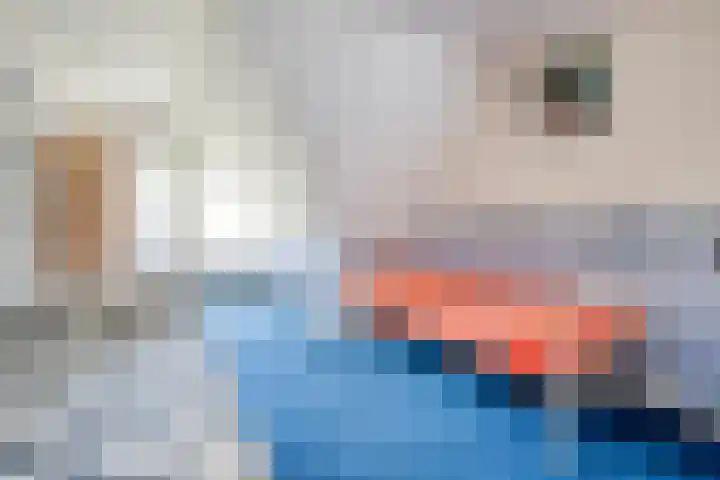 Bossemaat 14 Pesse thumbnail 33