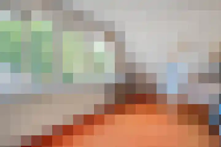 Bossemaat 14 Pesse thumbnail 38
