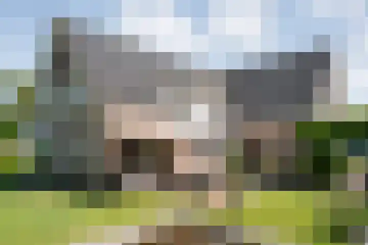 Bossemaat 14 Pesse thumbnail 4