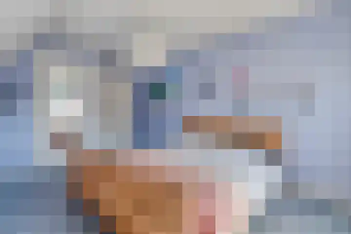 Bossemaat 14 Pesse thumbnail 43