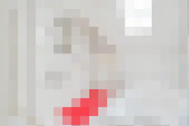 Bossemaat 14 Pesse thumbnail 44