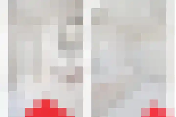 Bossemaat 14 Pesse thumbnail 45