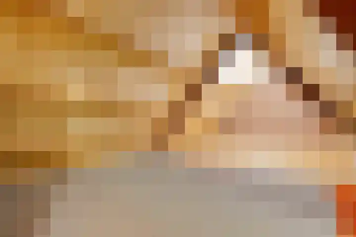 Bossemaat 14 Pesse thumbnail 48