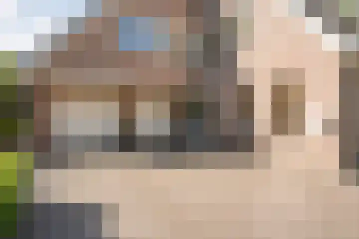 Bossemaat 14 Pesse thumbnail 50