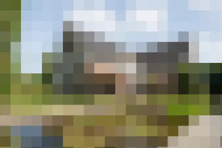 Bossemaat 14 Pesse thumbnail 54