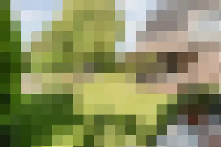 Bossemaat 14 Pesse thumbnail 55