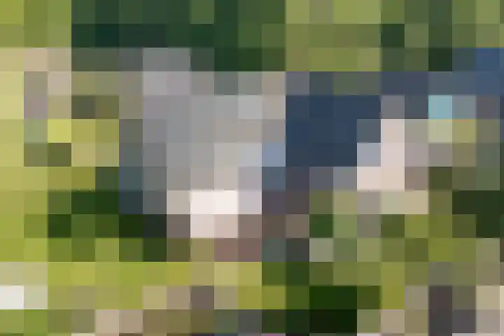 Bossemaat 14 Pesse thumbnail 6