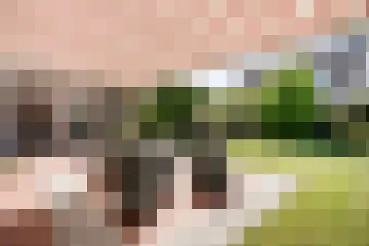 Bossemaat 14 Pesse thumbnail 61