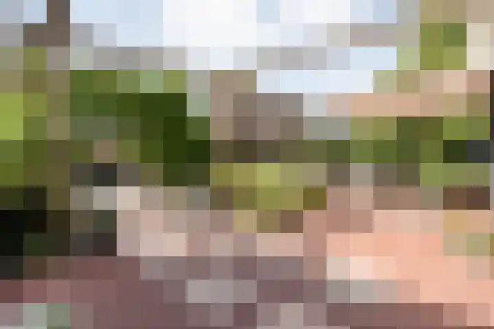 Bossemaat 14 Pesse thumbnail 62