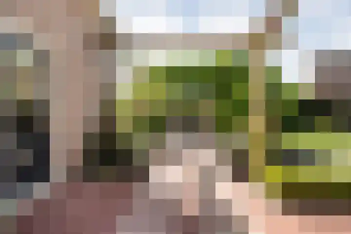 Bossemaat 14 Pesse thumbnail 63