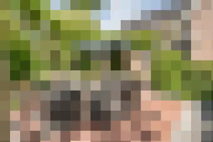 Bossemaat 14 Pesse thumbnail 64