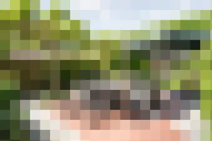 Bossemaat 14 Pesse thumbnail 65