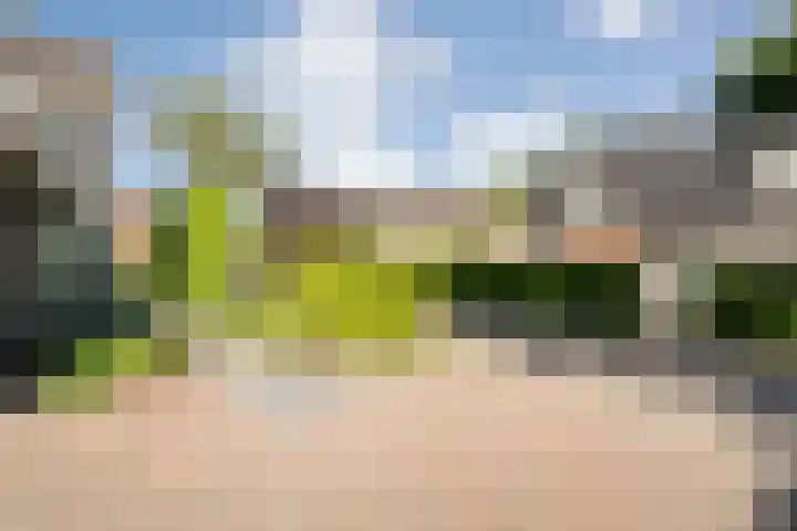 Bossemaat 14 Pesse thumbnail 68