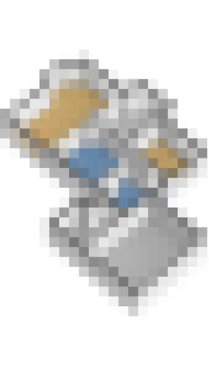 Bossemaat 14 Pesse thumbnail 71