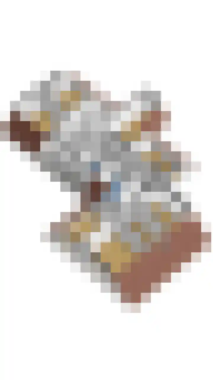 Bossemaat 14 Pesse thumbnail 73