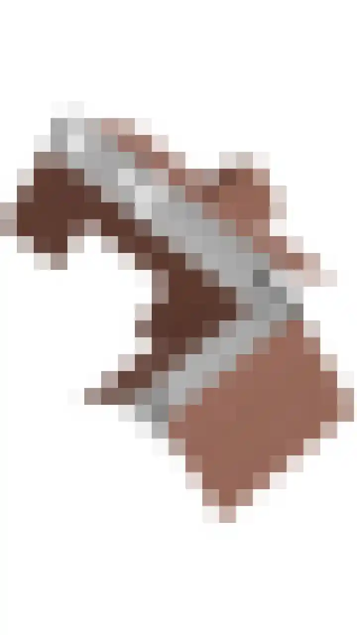 Bossemaat 14 Pesse thumbnail 75