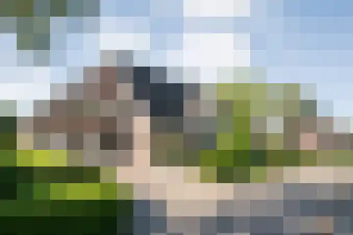 Bossemaat 14 Pesse thumbnail 8
