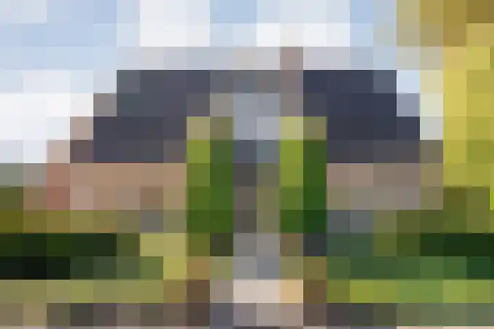 Bossemaat 14 Pesse thumbnail 9