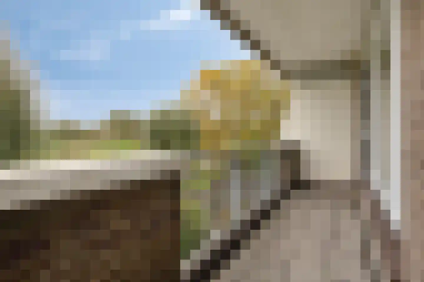 Bossenburg 125 Vlissingen thumbnail 29