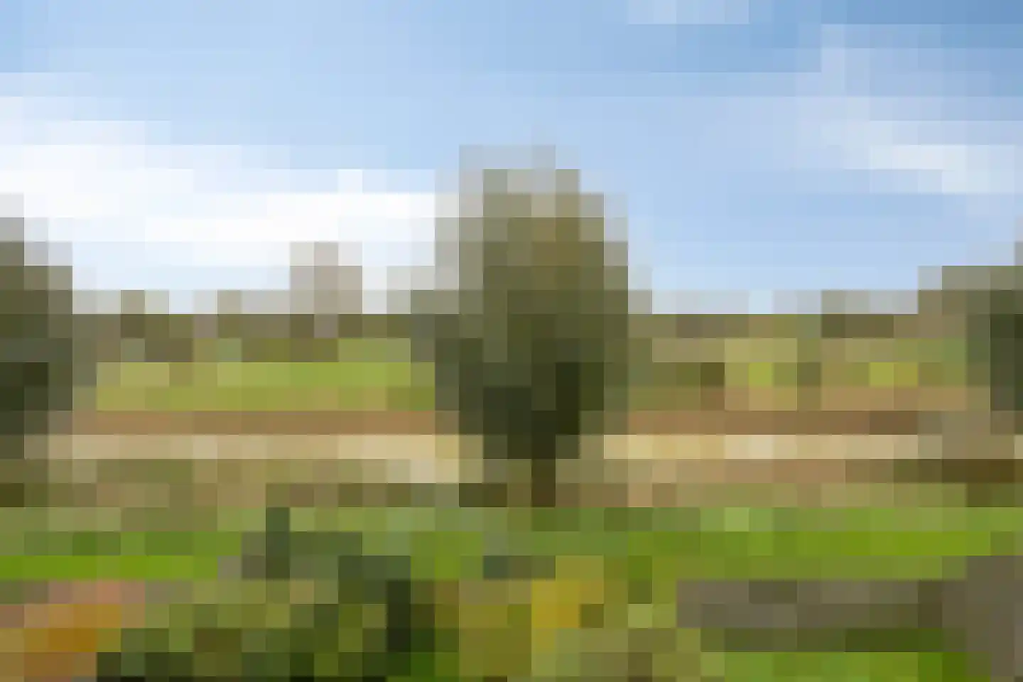 Bossenburg 125 Vlissingen thumbnail 31