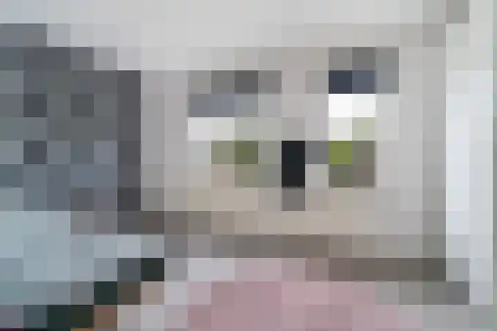 Bossenburg 147 Vlissingen thumbnail 16