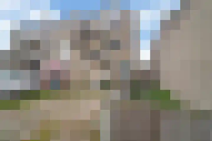 Bossenburg 147 Vlissingen thumbnail 33