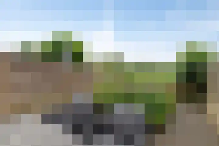 Bossenburg 31 Vlissingen thumbnail 4
