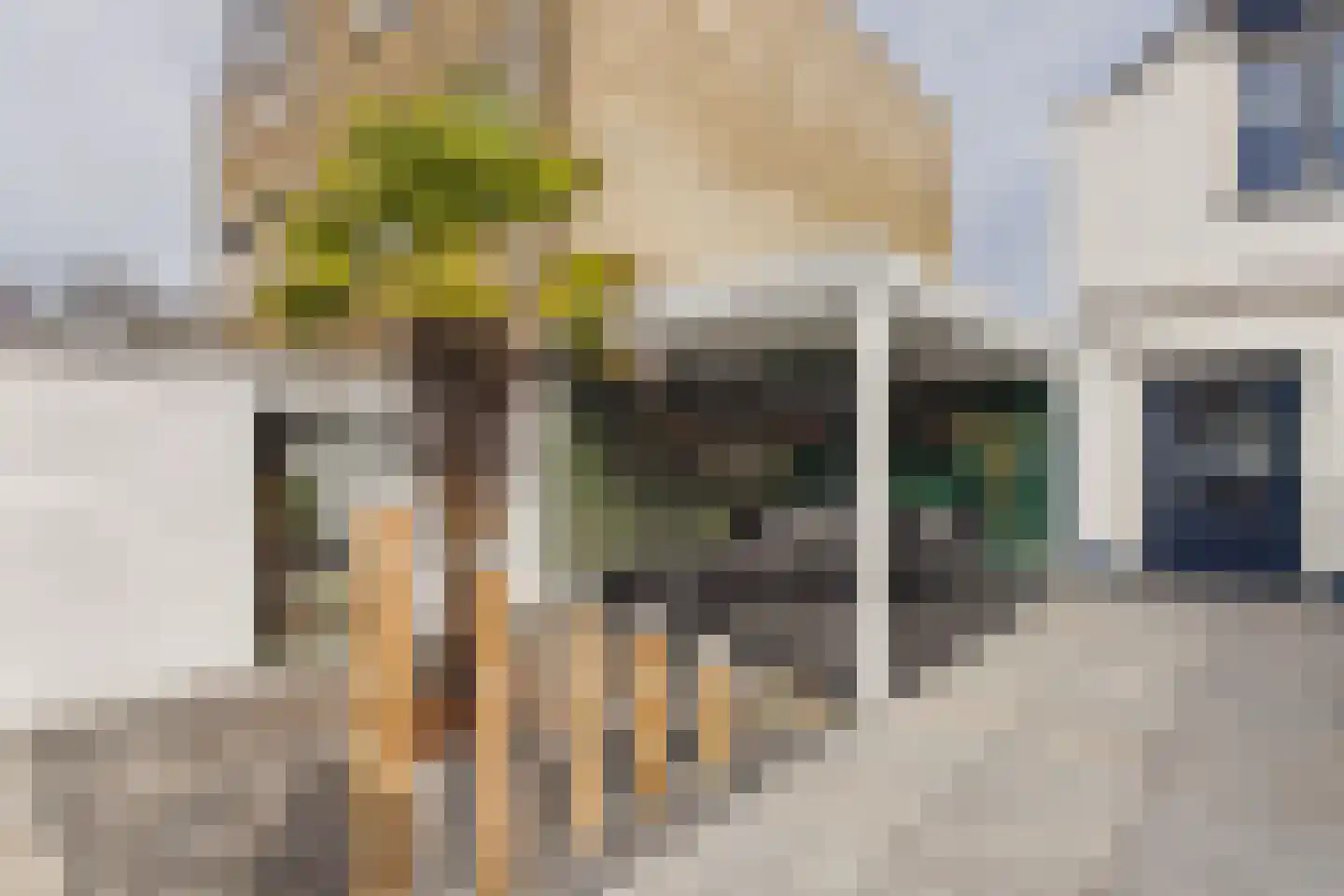 Bossenburg 38 Vlissingen thumbnail 32