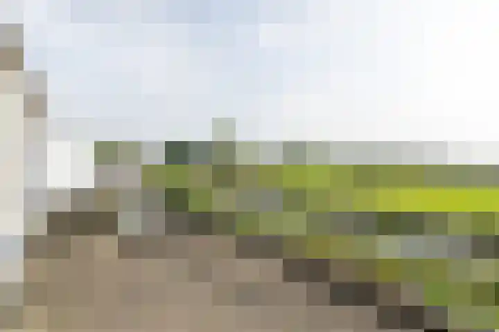Bossenburg 73 Vlissingen thumbnail 18