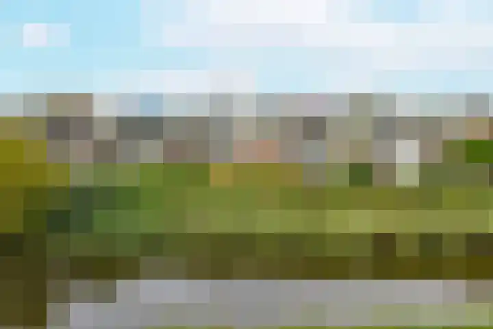 Bossenburg 73 Vlissingen thumbnail 5