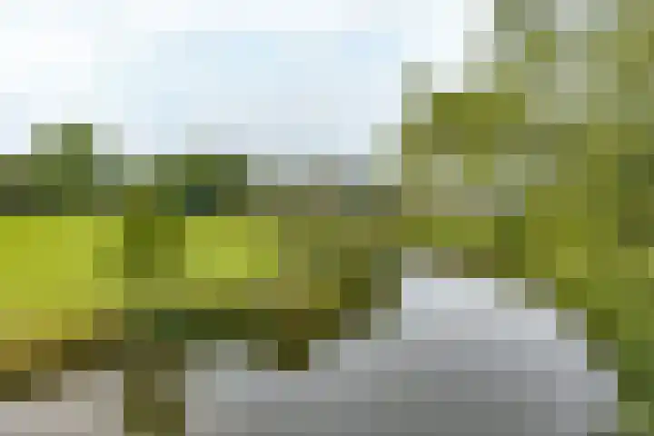 Bossenburg 73 Vlissingen thumbnail 6