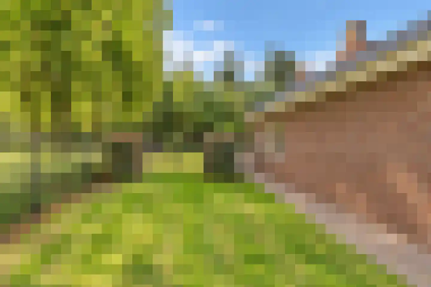 Bossenhoekweg 6 Overloon thumbnail 13