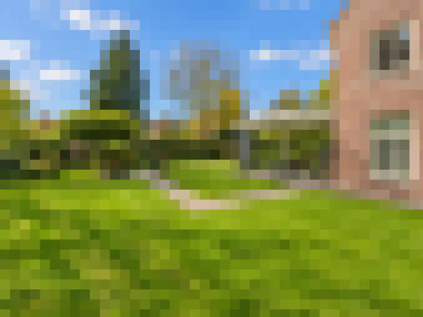 Bossenhoekweg 6 Overloon thumbnail 16