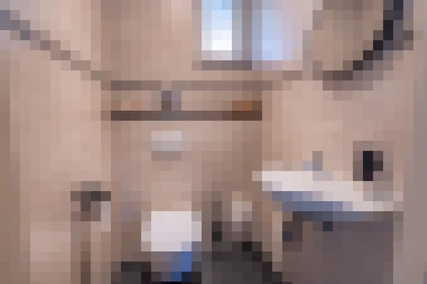Bossenhoekweg 6 Overloon thumbnail 27