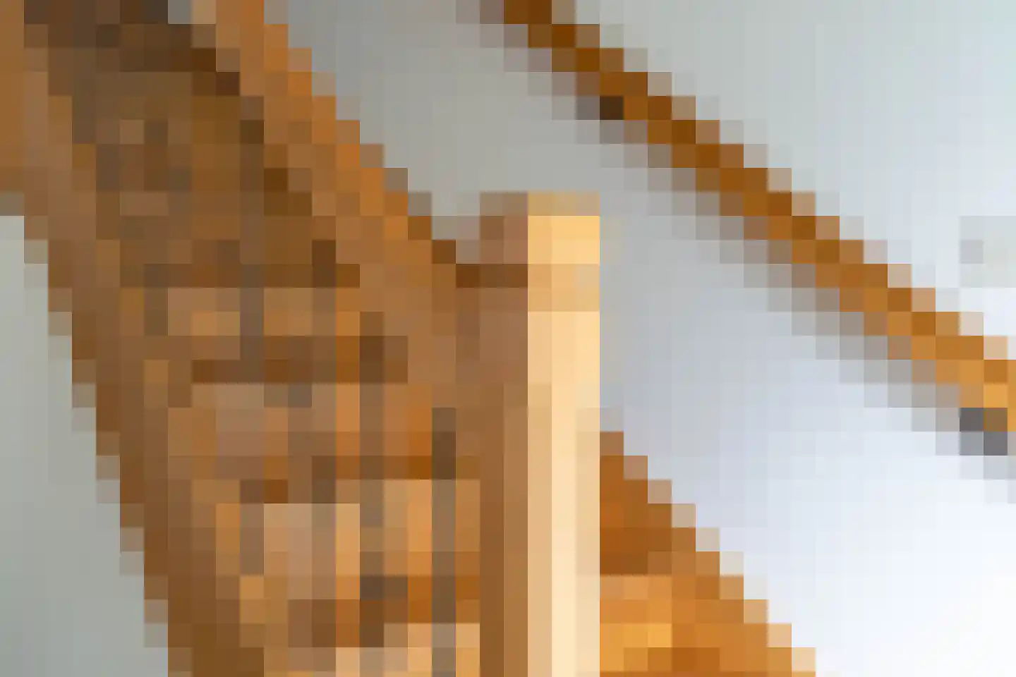 Bossenhoekweg 6 Overloon thumbnail 42
