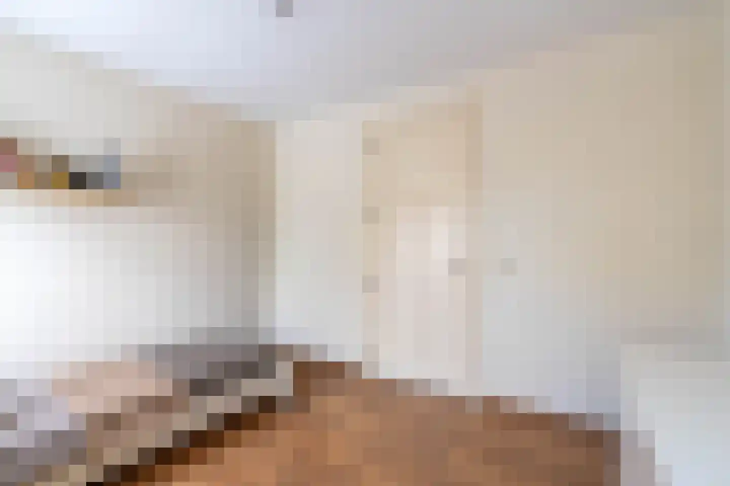 Bossenhoekweg 6 Overloon thumbnail 50
