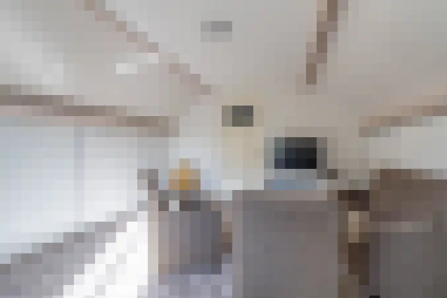 Bossenhoekweg 6 Overloon thumbnail 61